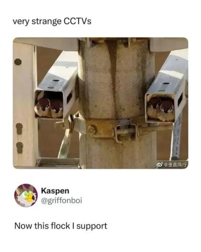 new-flock-cameras