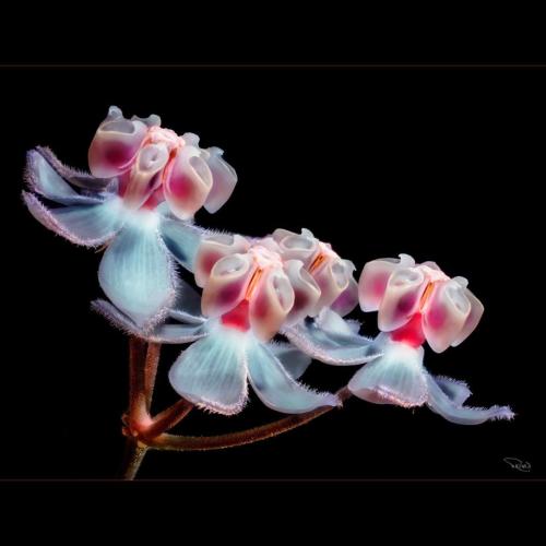 1653e5f8-c5fd-4b27-b18d-fd1f5b45a4d2