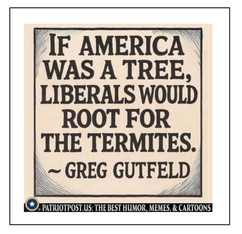 meme-gutfield-america-tree