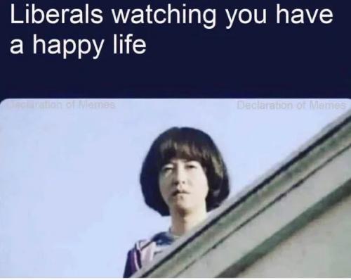 liberals-hate-happiness