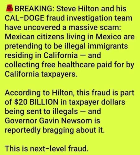 next-level-fraud