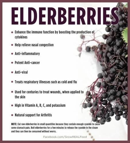 Elderberries