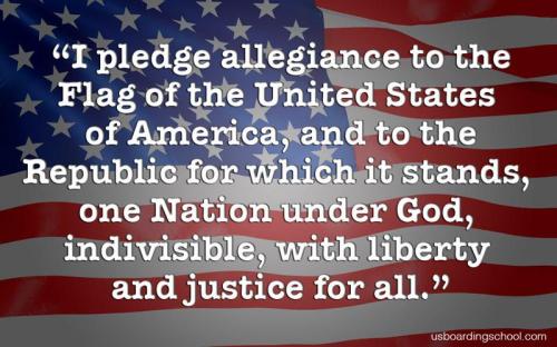 pledge 9