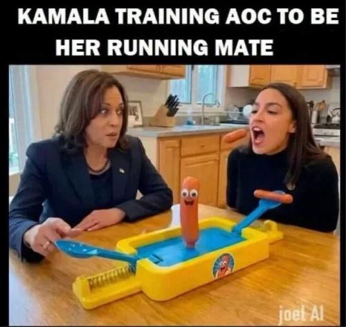 kamala-training-aoc