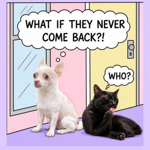 what-if-they-never-come-back