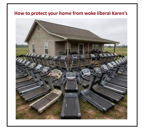 liberal karens