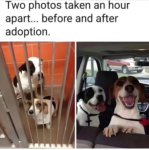 two-photos