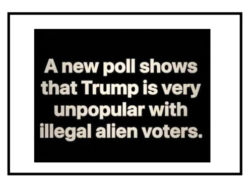 new poll