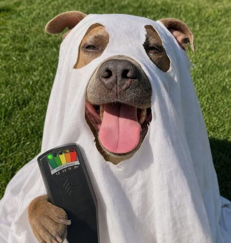 a ghost hunting day 2026