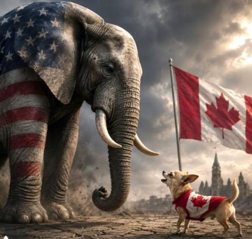 meme-us-canada-elephant-chihuahua