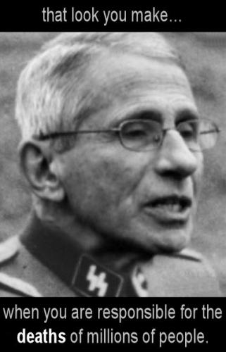 fauci523
