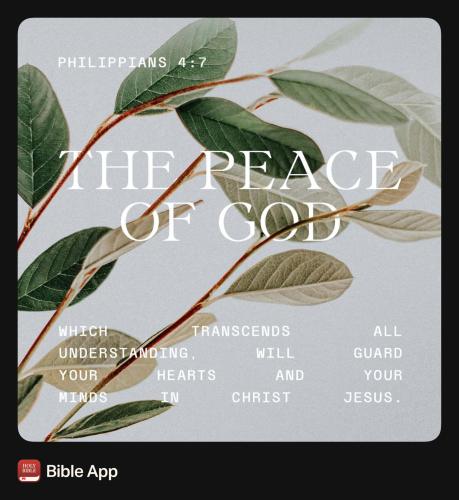 unnamed-352