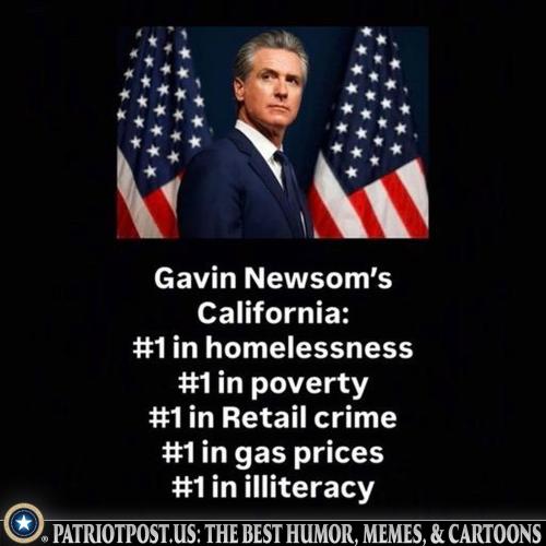 meme-newsoms-cali