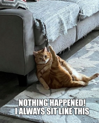 nothing-happened-always-sit-like-this