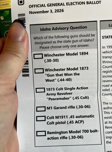 vote on guns sample ballot meme