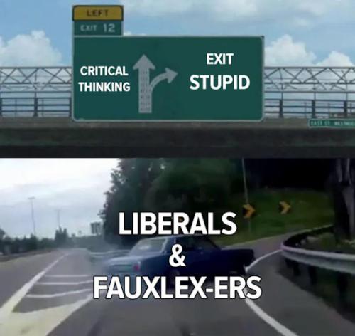 liberals383