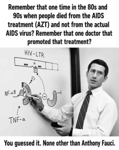 fauci522