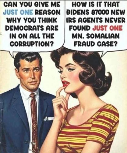 BIDEN IRS AGENTS