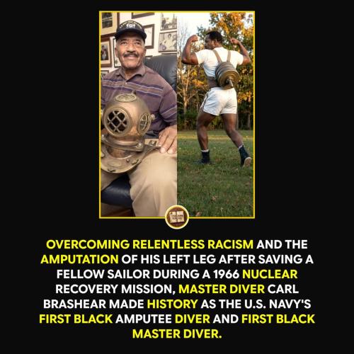 a diver f