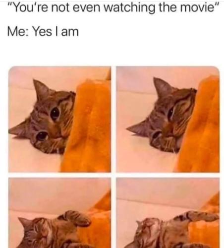 every-time-you-watch-a-movie-with-your-partner-v0-slnvau80t4dc1