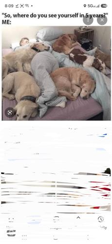 Screenshot_20260906_200928_Google