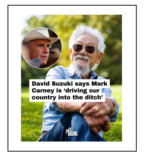 david suzuky says