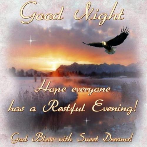 10-Lovely-Good-Evening-Good-Night-Quotes-48881-4