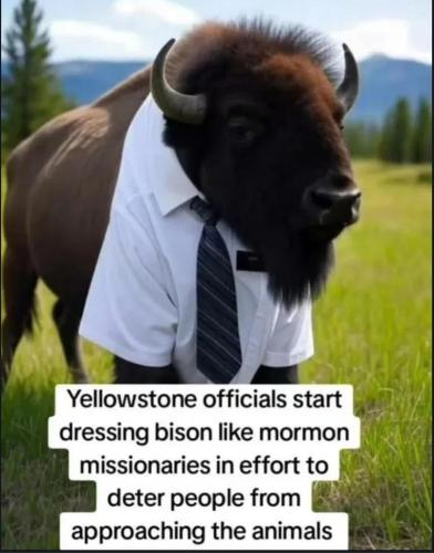 6372