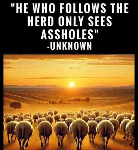 he-who-follows-the-herd