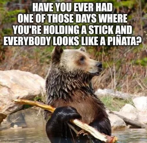 everybody-looks-like-pinata