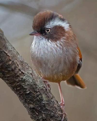 1beb03b0-20d4-44bb-8ad9-12dfd68c7f1a