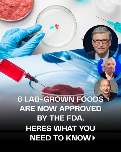 6 lab grown foods