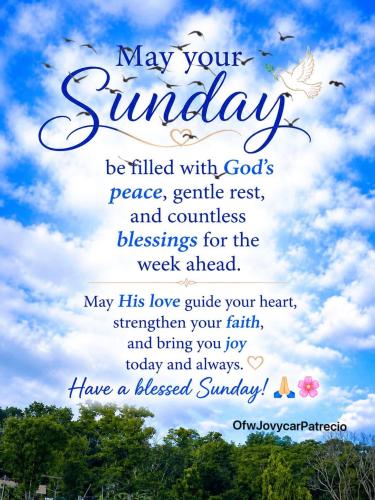 All week sunday 1