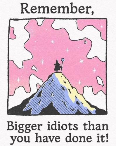 bigger-idiots-than-you-have-done-it