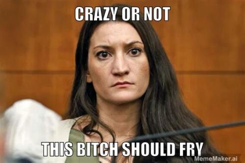 bitch-should-fry