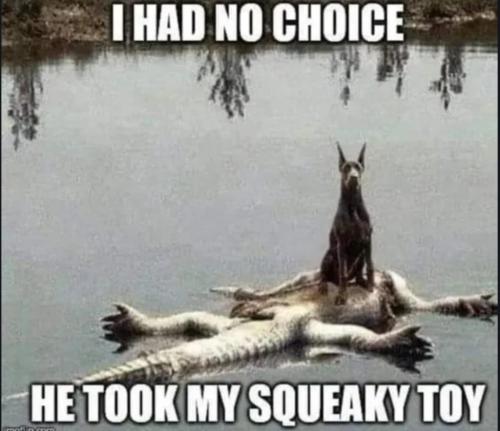 6197
