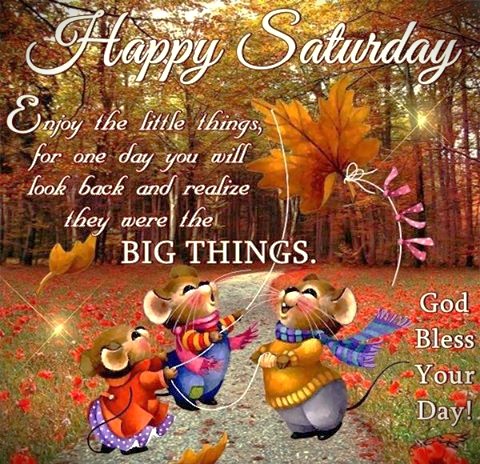 091926 - Sat Lil things