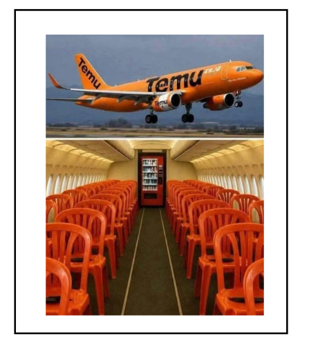 temu airlines