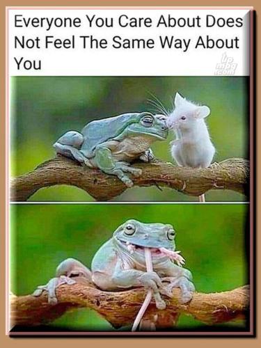 _EveryoneYouCareAboutDoesNotFeelTheSameWayAboutYou