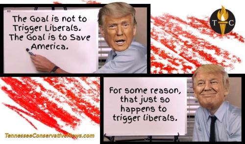 Triggering-Liberals-Post