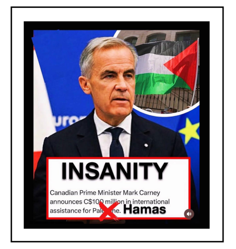 insanity