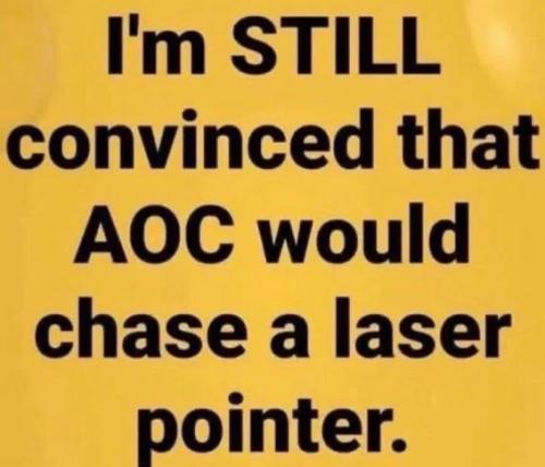 aoc-would-chase-laser-pointer
