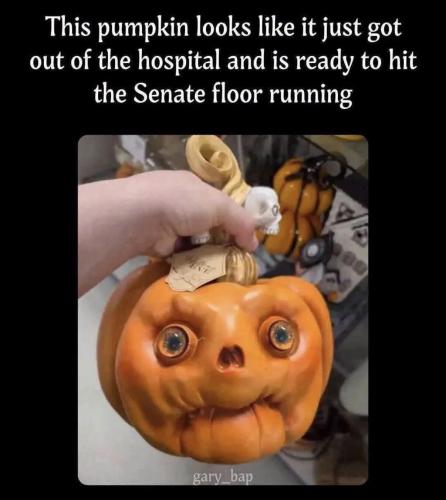 pumpkin-hit-senate-floor