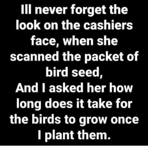 a bird seed f