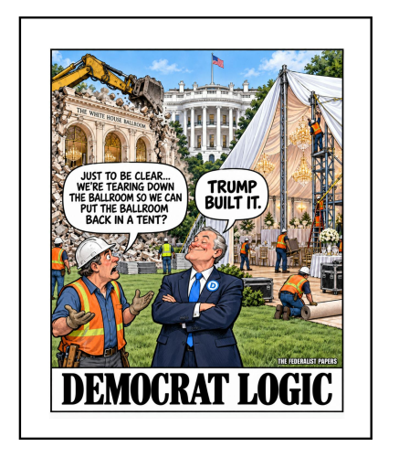 democrat logic