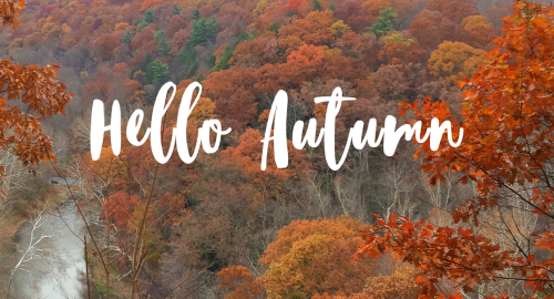 autumn 2
