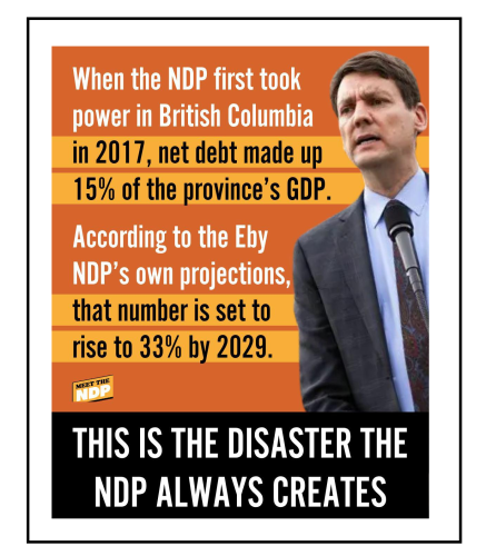 NDP disaster