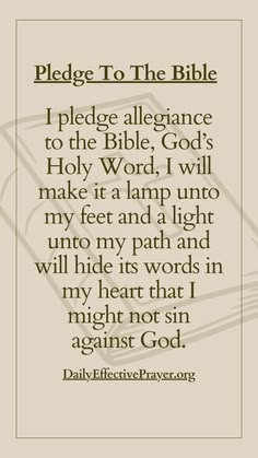 bible 7