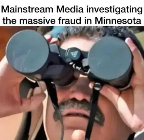 msm-investigate-fraud
