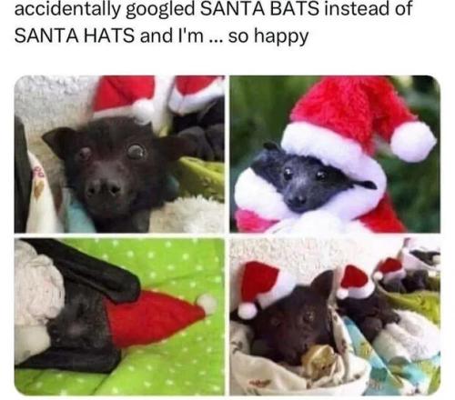 santa-bats